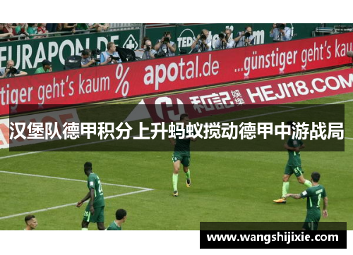 汉堡队德甲积分上升蚂蚁搅动德甲中游战局